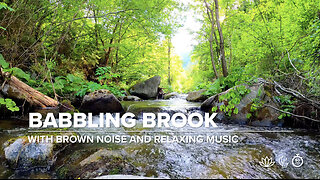 Babbling Brook: 90 Minutes of Creek Sounds and Relaxing Music