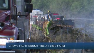 Brush fire put out in Lehigh Acres