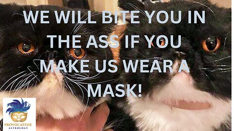 WE WILL BITE YOU IN THE ASS IF YOU MAKE US WEAR A MASK