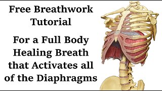 New Original Breathwork Naturally Activates Diaphragms For Deeper Breath