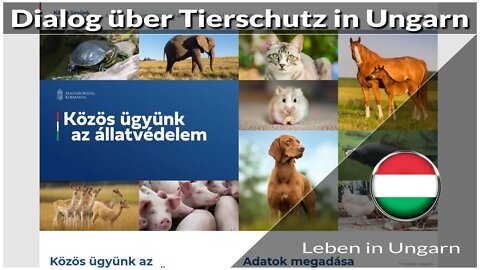 Online-Dialog über Tierschutz in Ungarn - Leben in Ungarn