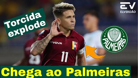 acaba de vazar a bomba!desejado pelo Verdão,"Soteldo" 26 milhões Para liberar o atacante #palmeiras