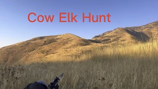 Elk Hunt