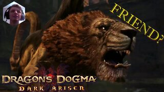 Dragons Dogma :) A Rise