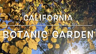 California Botanic Garden