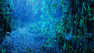 8 hours of AMAZING RAIN SOUNDS "sleep noise" rain noise with STUNNING visual VIEW