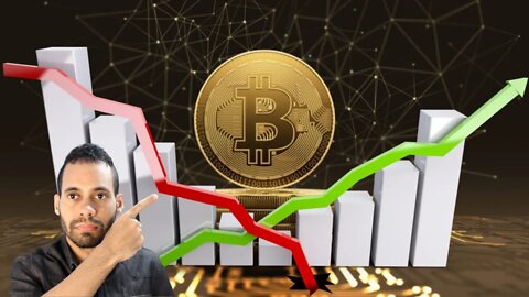 Para Onde Vai a Bitcoin Por que Só Cai (Papo de Economista)