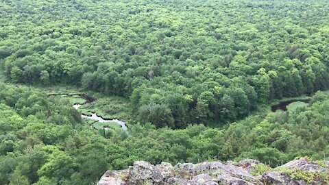 Bird songs in the Porcupine Mountains