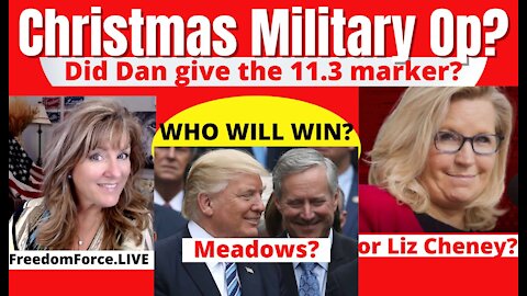 CHRISTMAS MARKER 11.3 -CHENEY ATTACKS MEADOWS, DS JAN 6 TIMELINE 12-15-21
