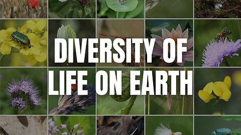 The Diversity of Life on Earth | Biodiversity