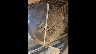 Getting a 36" oak log onto the mill.