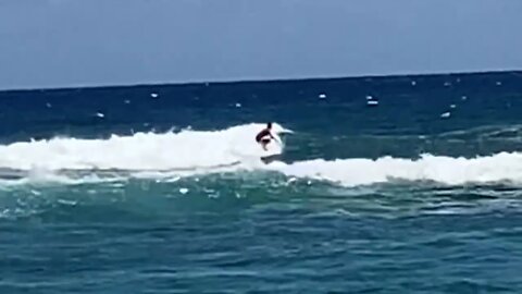 FINALS BOOGIE BOARD COMPETITION - THE 4TH ANNUAL KAUA'I BOOGIE BOARD CLASSIC