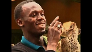 Usain Bolt Adopts Cheetah