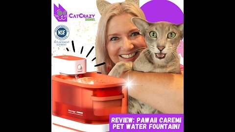 How To Keep Your Cat Hydrated - Pawaii Caremi Smart Pet Water Fountain Review!