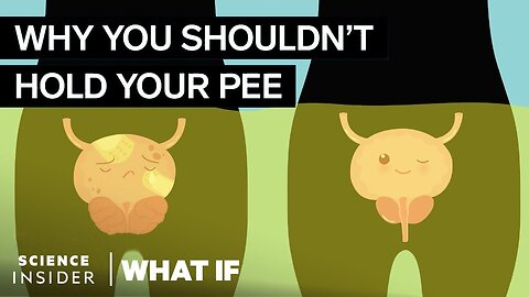 What Happens If You Hold Your Pee In For Too Long