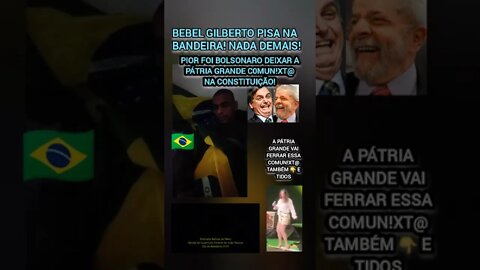 PARABÉNS BEBEL POR PISAR😱NA NOSSA BANDEIRA🇧🇷QUE DESDE 1988 É PANO SEM VALOR! DESORDEM E DESPROGRESSO