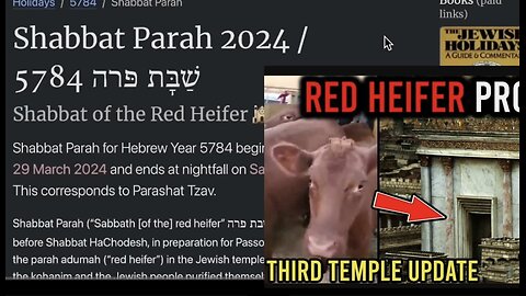 2024 RED HEFIER Shabbat of the Red Heifer