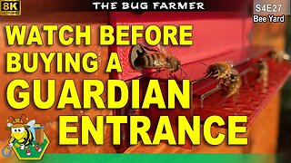 Guardian Beehive Entrance Results | Watch Before You Buy #beekeeping #8k #guardian #bees #SHB