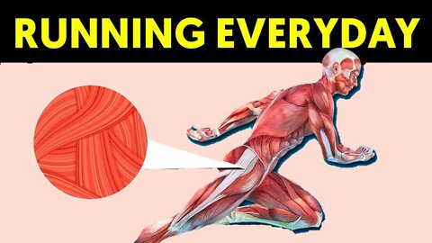 What Happens To Your Body When You Run Every Day