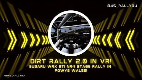 Dirt Rally 2.0 Stage Rally in VR!