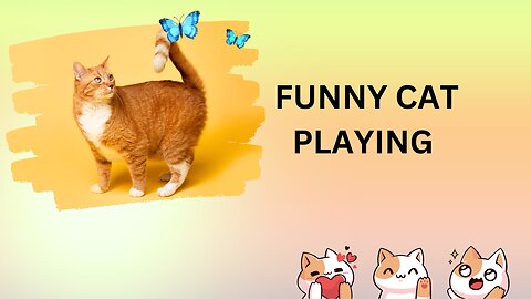 CUTE CAT FUNNY PLAYING