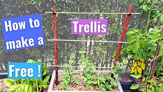 How make a basic garden trellis for climbing plants at home for free !