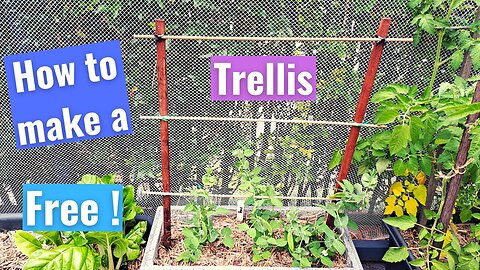 How make a basic garden trellis for climbing plants at home for free !