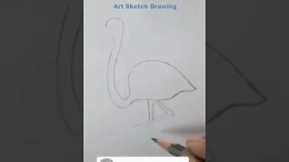 Easy Flamingo Pencil Drawing Tutorial Shorts #shorts #shortsvideo #drawingshorts