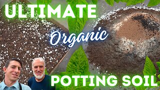 World Record Organic Potting Soil Recipe for Healthy Gardens | Gardening Tips