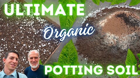 World Record Organic Potting Soil Recipe for Healthy Gardens | Gardening Tips