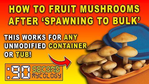 How to Fruit Mushrooms After 'Spawning to Bulk' \\ SIMPLIFIED!