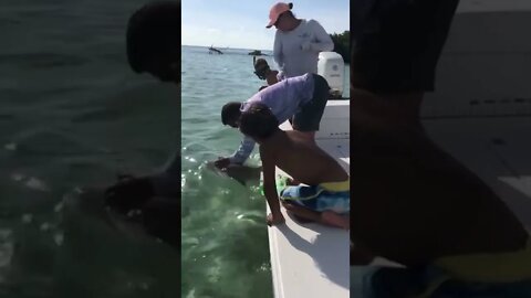 The coolest magic trick you’ll ever see😂#shorts #shark #fishing #ouch #bite #lessonslearned