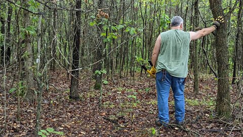 Clearing A Road Through The Woods To Get To Our Tiny House Spot