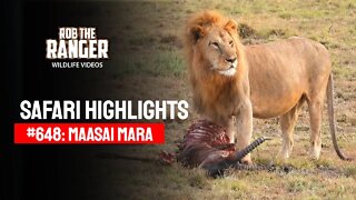Safari Highlights #648: 10 & 11 January 2022 | Maasai Mara/Zebra Plains | Latest Wildlife Sightings