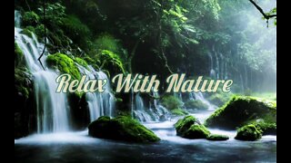 Relax to Soothing Ambience