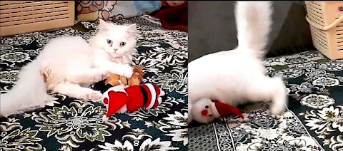 Kitten Kicking To Santa Claus and Santa Claus Is Helpless