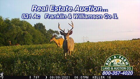 Southern Illinois Land Auction - 831 acres March 9, 2023
