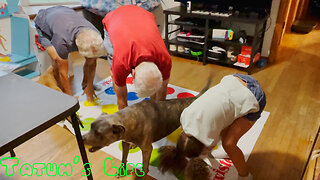 Grandparent Twister