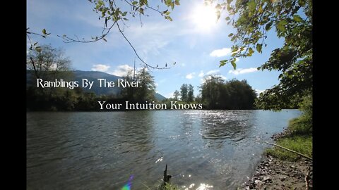 Ramblings By The River: Your Intuition Knows