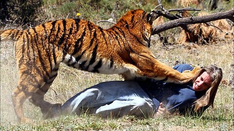 8 Times Wild Animals Surrounds Its Prey So It Can't Escape