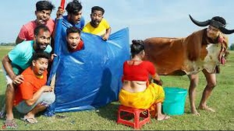 Monkey Special Trending Funny Comedy Video 2024😂Special Trending Funny Comedy Video