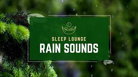 Light Rain in the Woods 🌧🌲 Relaxing Rainstorm White Noise for Sleep