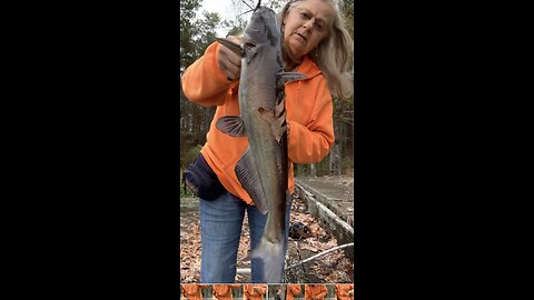 4lb catfish caught with a cube of soap!!!