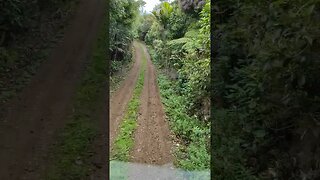 Steep bush drive