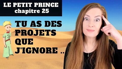 Le Petit Prince Chapitre 25 - Explanations - Explications - Antoine de Saint-Exupéry