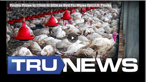 Poultry Prices to Climb in 2024 as Bird Flu Wipes Out U.S. Flocks