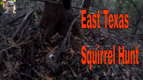 East Texas Squirrel Hunt
