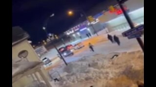 Business Owner Opens Fire on Looters During Buffalo Blizzard