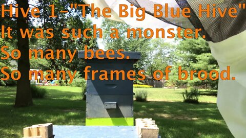 Aug 11, 2019-Hive #1 "The Big Blue Hive", Moving Resources