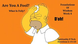 Wisdom 4 Promo: What is Folly?